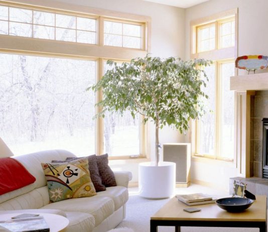 Фэн Шуй-принцип кресла (защита и обзор)